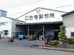 00000181_415.jpg