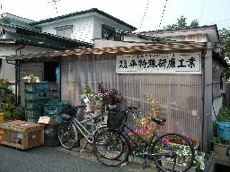00000261_122.jpg